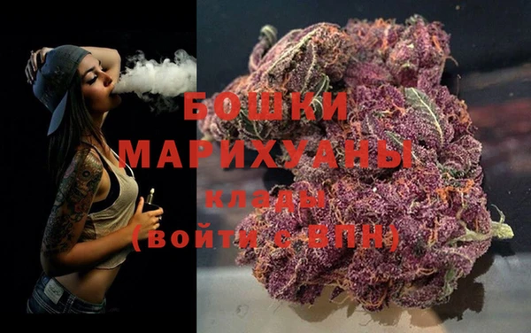 гидропоника Белокуриха