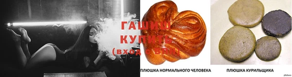 гидропоника Белокуриха