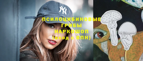 гидропоника Белокуриха