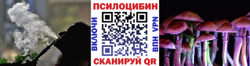Псилоцибиновые грибы прущие грибы  Тотьма 