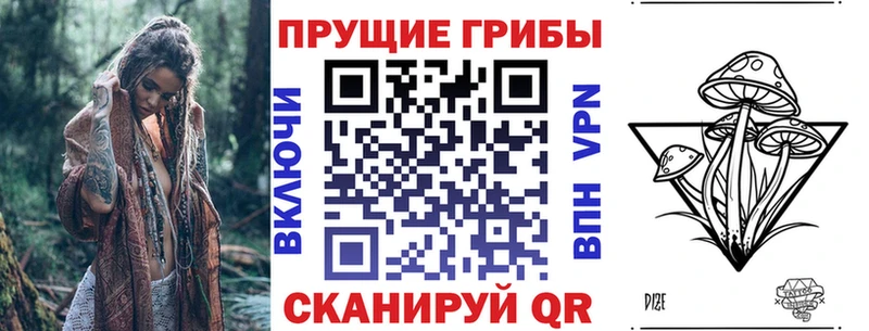 Галлюциногенные грибы Magic Shrooms Тотьма